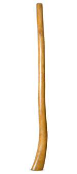 Gloss Finish Didgeridoo (TW1321) 